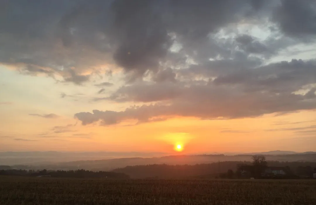 Gasthof Zur Goldenen Sonne-1